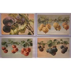 Lot Of Four Vintage Antique Embossed Postcards Fruit